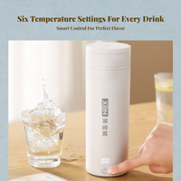Mini electric water boiler, temp control