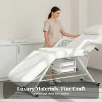 Adjustable Permanent Design Chair Thick Foam Cushioning Multi-Functional Beauty Bed Removable Armrests Versatile Salon Chair for Beauticians, Spas