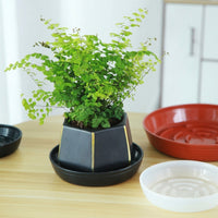 Plant Saucers and Drip Tray Set, Round Trays with Drainage Grooves, Plant Trays for Indoor or Outdoor Plants