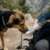 Portable Pet Water Bottle for Dogs, Travel Drinker with Dispenser for Walking, Hiking, Outdoor Activities