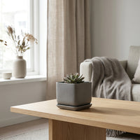 Ceramic Square Planter Matte Finish For Succulents Indoor With Saucer Simple Stylish