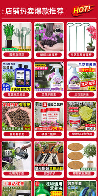 龟背竹支撑杆植物园艺固定神器花支架金钱树绿植花卉防倒伏花架