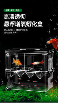 鱼缸隔离盒孵化盒孔雀鱼凤尾繁殖盒小鱼苗鱼苗缸外产房孵化器喂食