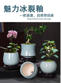特价陶瓷古韵小型花盆盆景创意文竹简约绿萝兰花菖蒲多肉盆栽带托