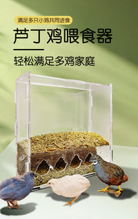 芦丁鸡喂食器鸟类防刨食槽喂食盒透明亚克力防溅自动下料鸡箱造景