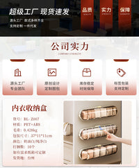 Wall-Mounted Transparent Underwear Sock Organizer Box with Lid, ABS+PET