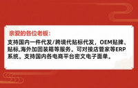 Multi-function Electrician Wire Stripper Pliers for Splitting and Stripping, Cross-border Supply