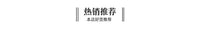 12V 250A 500A Wireless Remote Controller Set for Off-Road Vehicle Winch