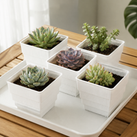 Small Square Plant Pots, 10cm Resin Flower Pots with Drainage, Breathable Outdoor Planters for Dry Plants