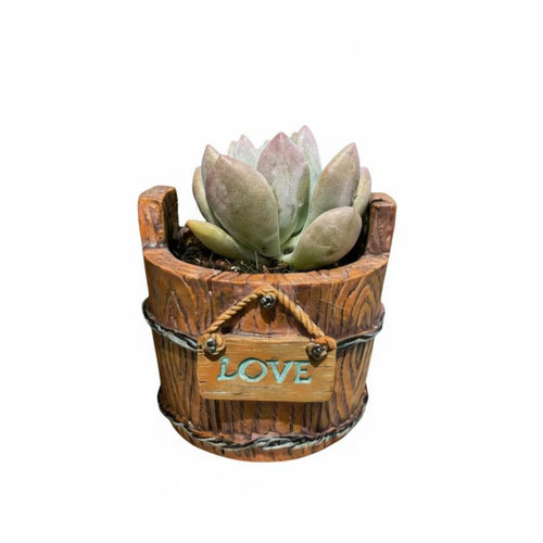 Vintage Bucket Pot Lightweight Decorative Planter Featuring a Sign Weather Resistant Resin Barrel Planter for Gardeners, Desktop, Windowsill