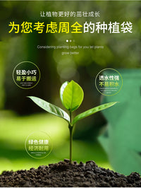 Nonwoven Fabric Planting Bag for Strawberries, Multi-Hole, Thickened
