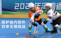 轮滑冰球头盔陆旱地曲棍球头盔面罩橄榄球运动头盔hockey helmet