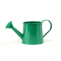 Metal Watering Can Outdoor Watering Can with Long Spout Indoor for Gardeners