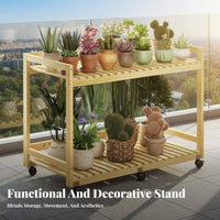 2-Tier Rolling Planter Shelf Movable with Wheels 2-Tier Rolling Plant Cart