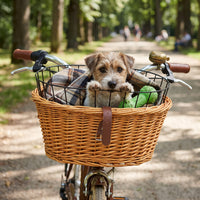 Hand-Woven Wicker Bicycle Basket for Pets and Shopping