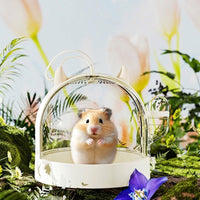 Hamster Carrier Portable Hamster Cage, Hard Travel Hamster Cage with Handle, Breathable Small Animal Travel Case for Outdoor Adventures