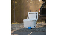 Insulated Portable Cooler Stain Resistant Cooler Box Sturdy Ice Box Leakproof for Camping, Car