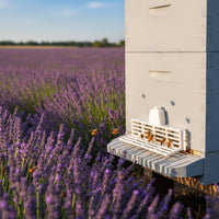 Plastic Queen Excluder Gate Pollen-Friendly Bee Anti-Escape Gate for Beekeepers