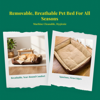 Orthopedic dog bed, removable cover