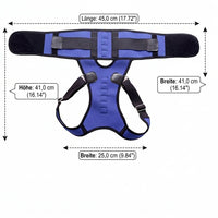 Back Support Belt Posture Corrector Back for Women, Breathable Orthopedic Belt made of Textile, Adjustable Back Strap 41 cm, Blue Back Straightener