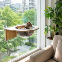 Cat Window Perch Suction Cup Glass or Tile Suctioncat Perch Elevated