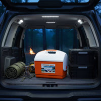 Insulated Container Insulated Chilling Container Cooler with Handle Hard-Sided Portable Ice Chest for Picnics