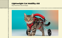 Adjustable wheelchair for disabled cats