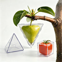水果造型盒 Fruit Shaping Mold for Growing Unique水果造型模具