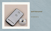 Waterproof RGB LED light, remote