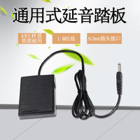 Universal Sustain Pedal for Keyboard, Electronic Piano, Synthesizer