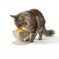 亚马逊猫狗舔食器可拆卸防滑底座带摇摆功能的舔食碗缓解宠物焦虑