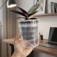Plant Pots for House Plants and Indoor Plants, Self Watering Indoor Plant Pot with Drainage Holes, Pots for Orchids, Double Pot System Design