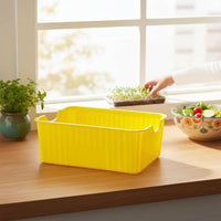 Bean Sprout Grower Box PP Material Soilless Sprout Grower Easy to Observe Feline Greens Planter for Indoor, Kitchen
