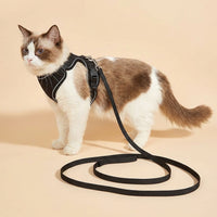 Cat Harness and Leash Set, Soft Mesh Nylon Vest Style Harness Lead, No Pull Walking Escape Proof Design for Training and Outdoor Pet Use 141