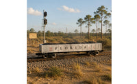 Detailed Lettering Florida FEC Carbon Car Exact Fit N Scale Freight Car Miniature Accessory Hopper Load Insert Easy Installation for Railway Collectors, Miniature Scene