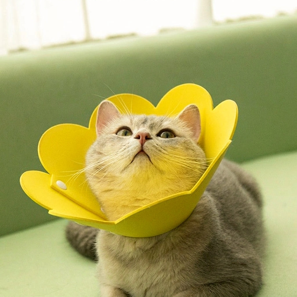Pet Cone for Cat Recovery, Non-Woven Material Petal Neck Cone with Snap Buttons, Dog Cone for Post-Surgery Pet to Stop Licking and Biting