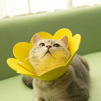 Pet Cone for Cat Recovery, Non-Woven Material Petal Neck Cone with Snap Buttons, Dog Cone for Post-Surgery Pet to Stop Licking and Biting