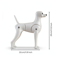 Pet Grooming Practice Mannequin Moveable Grooming Practice Model Dog Sturdy