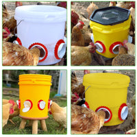 4 Pieces Round Poultry Feeder Spill Resistant Farm Supply Easy to Clean
