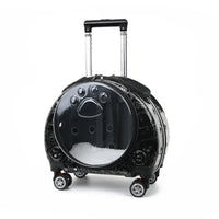 Caisse de Transport avec Roulettes Rigide Transporteur Transparent pour Voyage