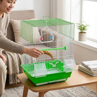 Small Bird Cage for Budgie and Finch Cage, Rectangular Bird Cage with Removable Tray, 2 Feeders and Perch for Parakeets Lovebirds, Small Size