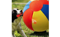 Dog Ball with Loops Dog Ball with Straps Oversized Toy for Tug Play