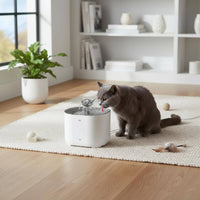 Rechargeable Kitty Fountain Easy to Clean Pet Care Item Large Capacity