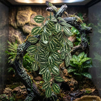 Bendable Climbing Vine and Lifelike Appearance Reptile Plants, Gecko Enclosure Accessories for Glass Mixed Foliage Reptile Plants