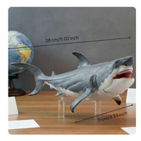 Megalodon Toy Highly Detailed Megalodon Figurine Educational