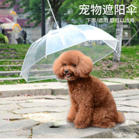 Pet Umbrella with Leash for Small Dogs