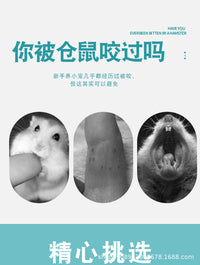 手部手套仓鼠用品儿童小宠物抓伤实验室鹦鹉撕咬动物防护多用途