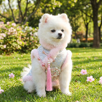 Pet Princess Dress with Hood, Ruffled Layered Small Dog Skirt, Warm Thick Pet Clothing, Dog Dress and Cat Party Outfit with fuzzy ball Bow
