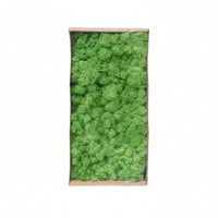 artificial Foliage Easy to Use Decorative Spreading Ground Cover-Maintenance Plants for Crafters, Florists, Home Decor, Terrariums