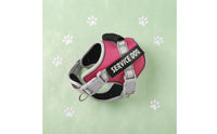 Quick-Release Buckles Service Dog Harness Metal Leash Rings Padded Mesh Harness Top Handle Service Dog Vest Adjustable for Low Light